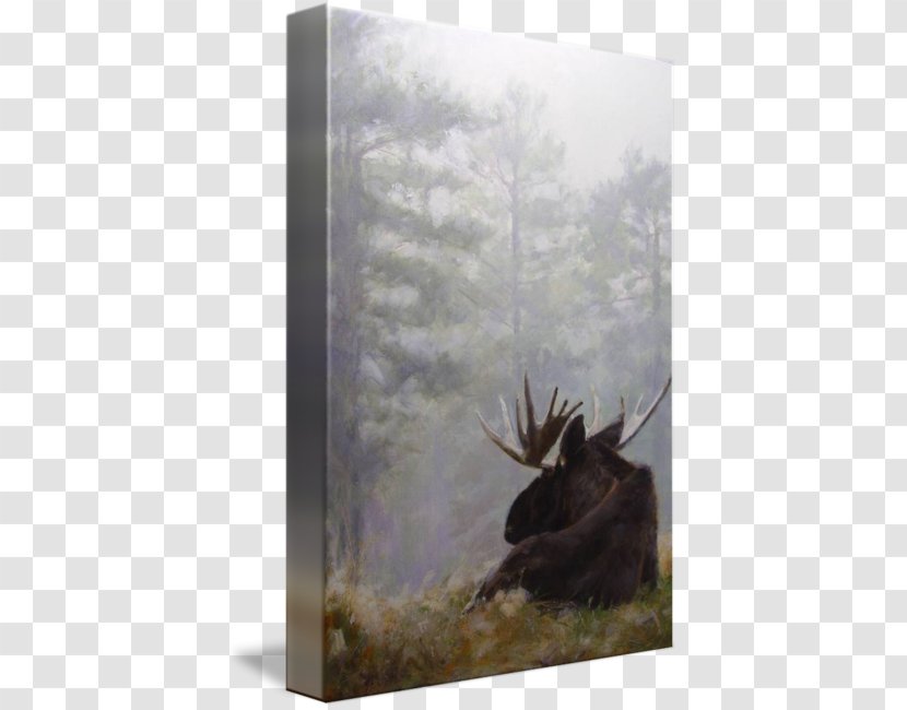 Moose Antler Stock Photography Tundra - Tree - Foggy Forest Transparent PNG