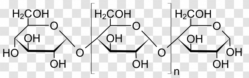 Amylose Starch Amylopectin Polysaccharide Carbohydrate - Diagram - Sugar Transparent PNG