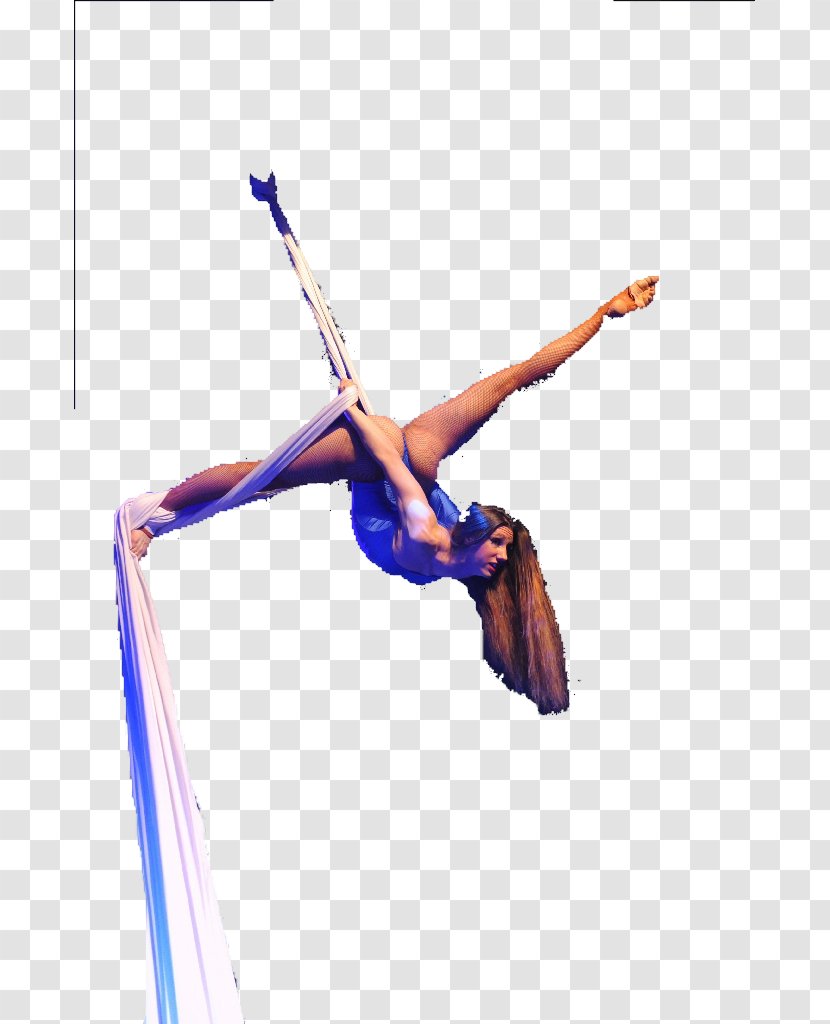 Aerial Dance Silk Acrobatics Circus Drawing Transparent PNG