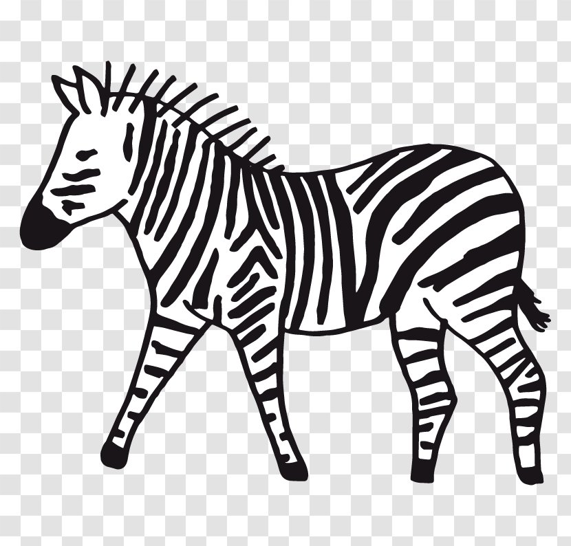 Quagga Zebra Designer Pattern - Wildlife - Illustration Transparent PNG