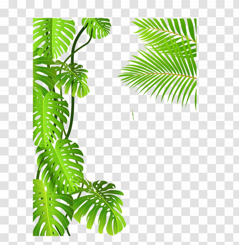 Royalty-free Tropical Rainforest Drawing Clip Art - Forest Transparent PNG