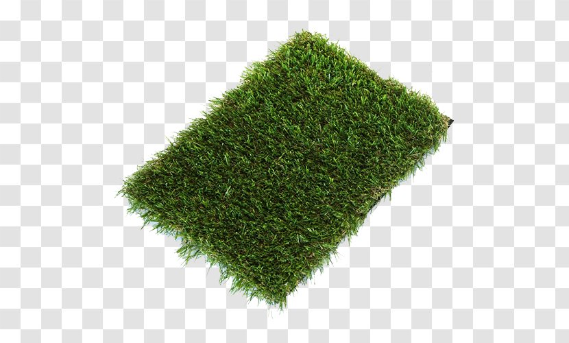 Artificial Turf Lawn Garden Fitted Carpet Thatch - Evergreen - Fake Grass Transparent PNG
