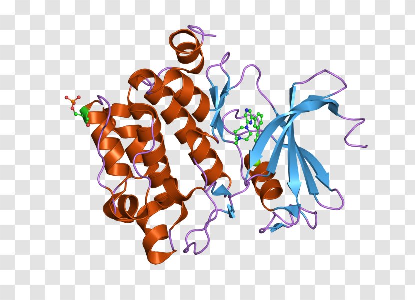 Epidermal Growth Factor Receptor Serine/threonine-specific Protein Kinase PIM1 - Tree - European Bioinformatics Institute Transparent PNG