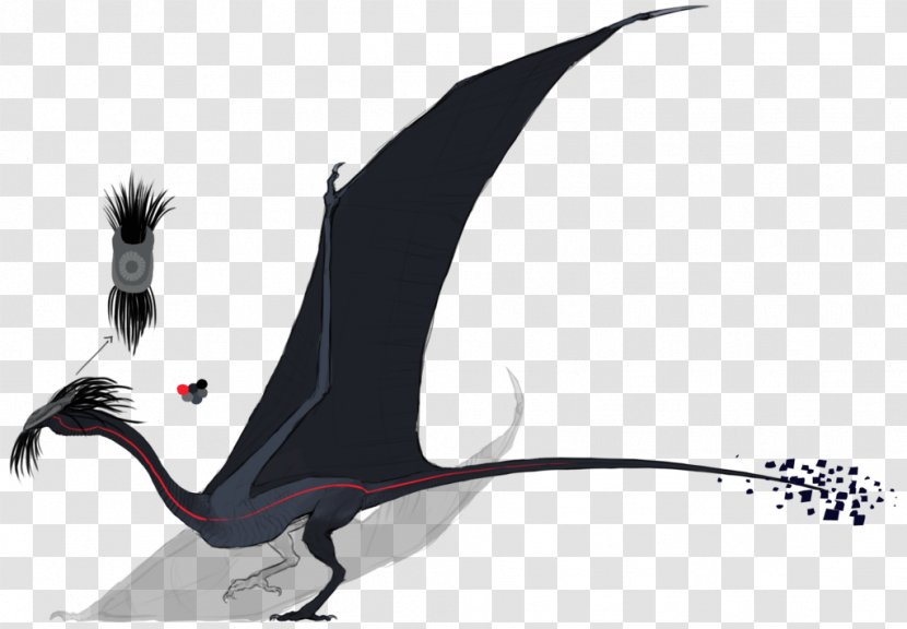 Beak Graphics Illustration Character Neck - Bird - Dragons Of Autumn Twilight Transparent PNG