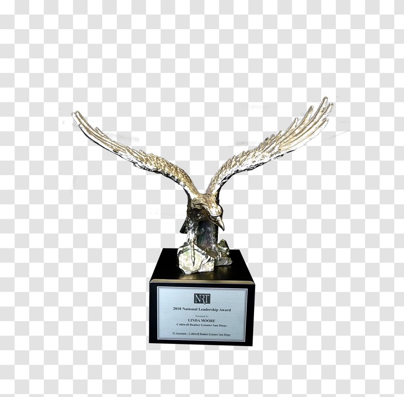 Trophy Bird Of Prey Antler Transparent PNG