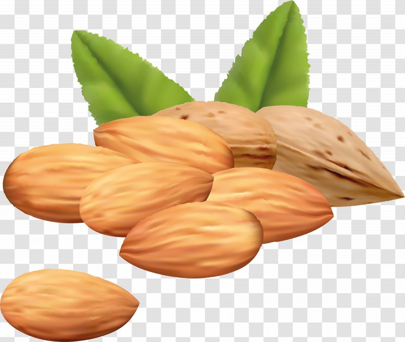 Mixed Nuts Clip Art - Superfood - Almond Transparent PNG