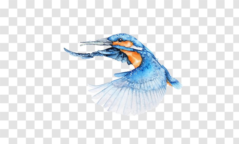 Bird Watercolor Painting Canvas Architect - Jay - Oriole Fishing Material Picture Transparent PNG