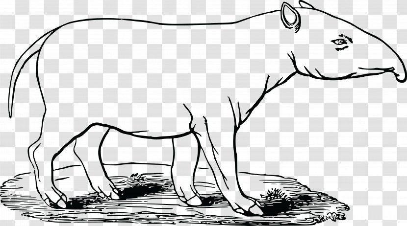 Clip Art Coloring Book Openclipart Malayan Tapir Illustration - Bear - Black And White Cow Standing Transparent PNG