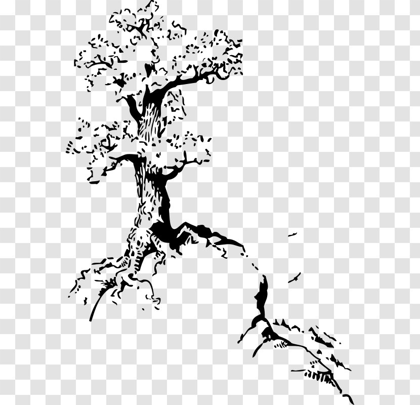 Clip Art - Woody Plant - Hill Tree Transparent PNG