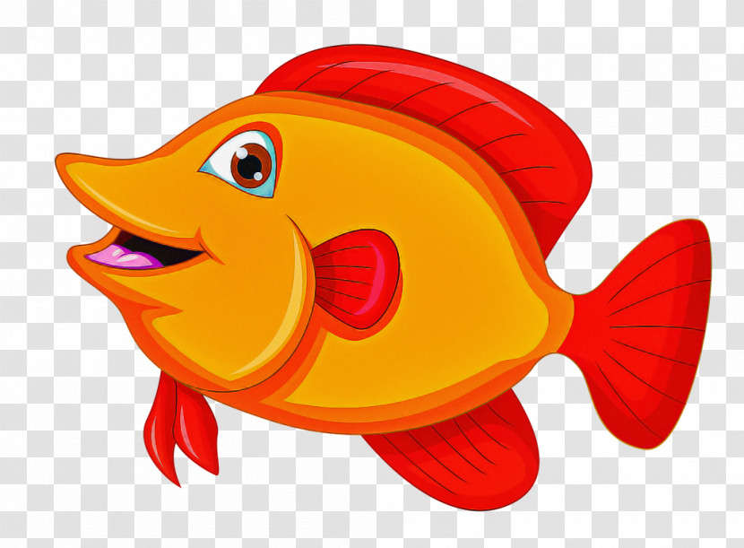 Fish Fish Cartoon Goldfish Bony-fish Transparent PNG