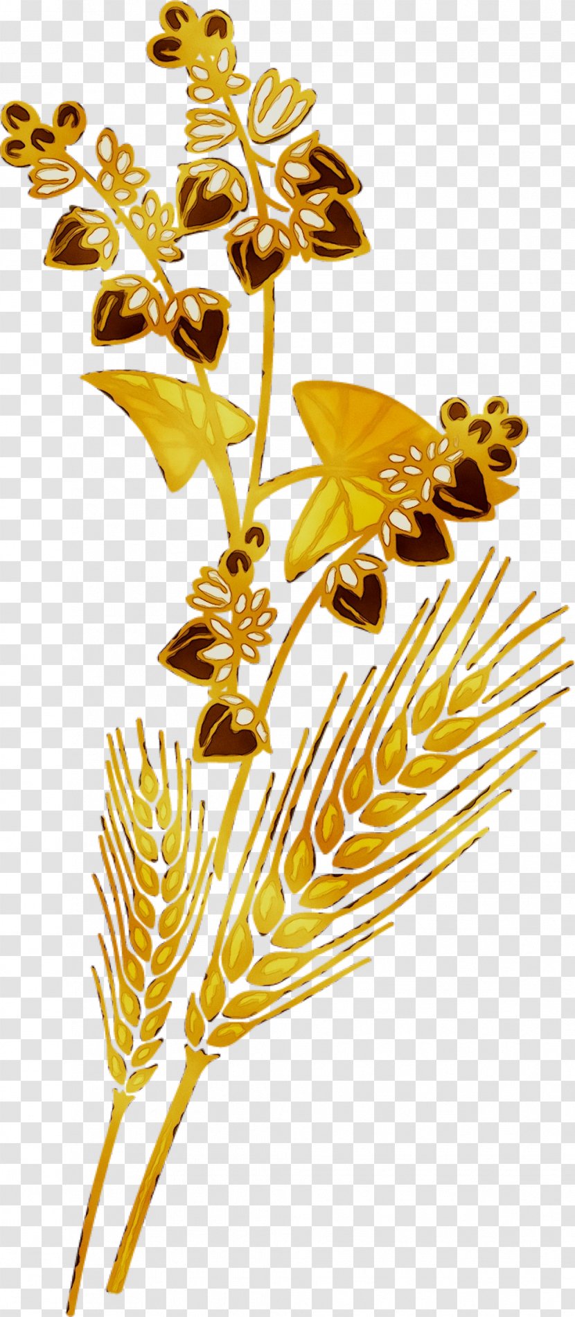 Illustration Clip Art Plant Stem Leaf Flower - Commodity Transparent PNG