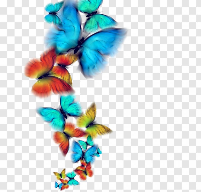Butterfly Royalty-free Photography - Royaltyfree - Colorful Transparent PNG