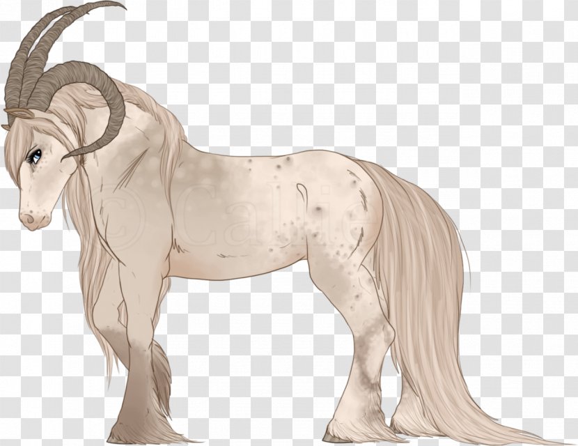 Mustang Pony Stallion Mane Mare - Watercolor Horse Transparent PNG
