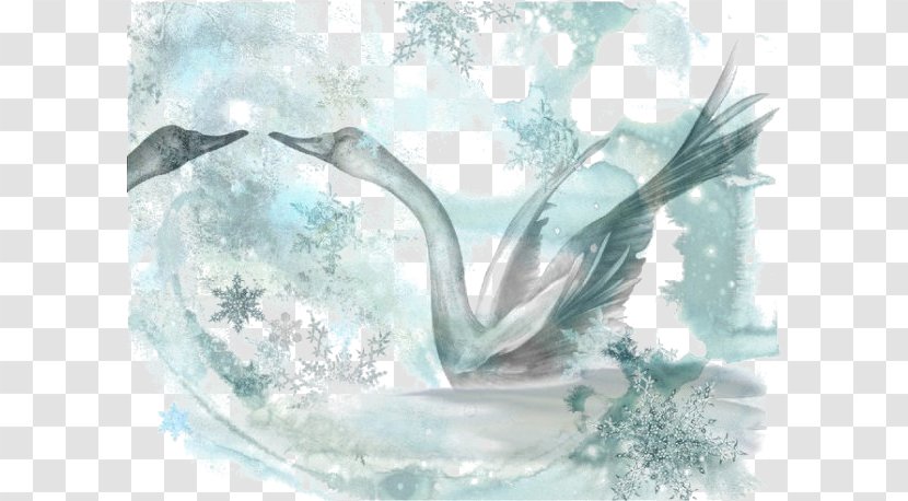 Illustrator Watercolor Painting Illustration - Creative Work - Swan Transparent PNG
