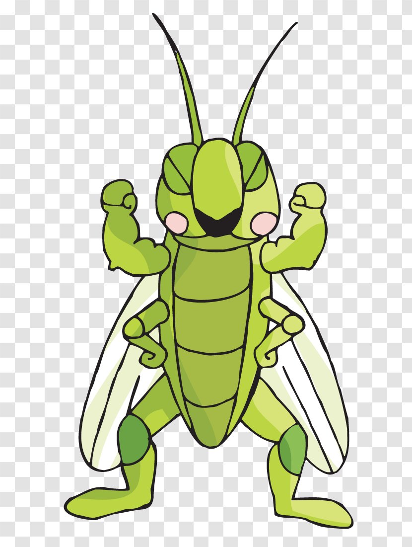 Grasshopper Clip Art - Membrane Winged Insect Transparent PNG