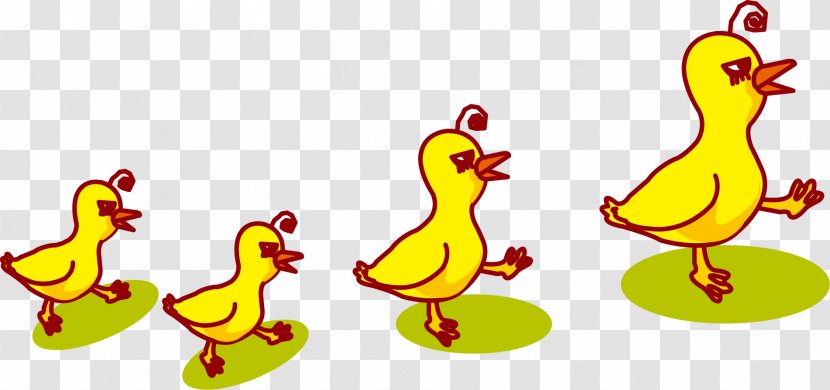Duck Chicken Rooster - Yellow - Creative Ducklings Transparent PNG