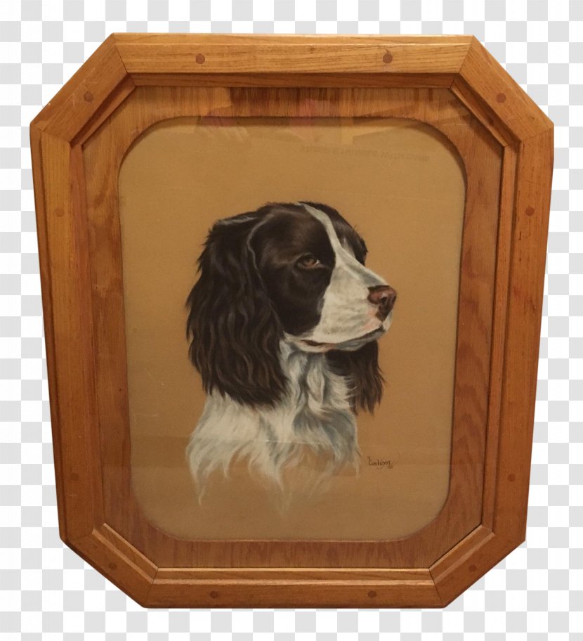 English Springer Spaniel Cavalier King Charles Boykin Dog Breed - Welsh Transparent PNG