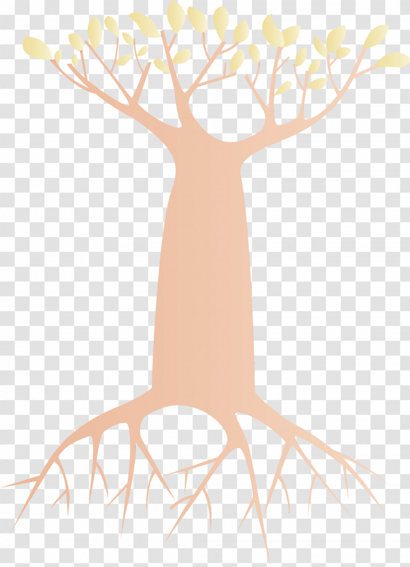Root Branch Woody Plant Tree Trunk Transparent PNG