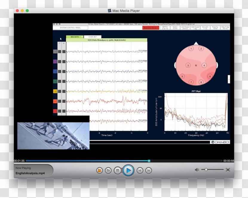 Computer Program Electroencephalography OpenBCI Monitors - System - Wernicke's Area Transparent PNG