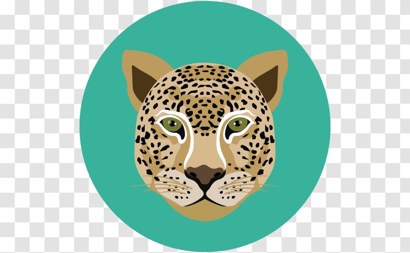 Leopard Tiger Vector Graphics Image Cheetah Transparent PNG