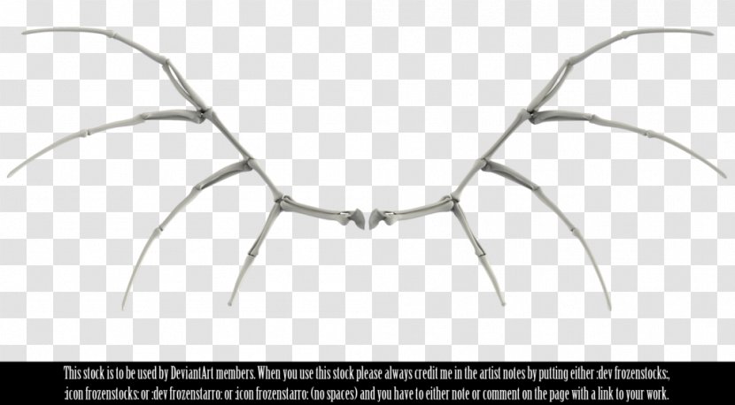 Bone Human Skeleton Skull Wing - Bones Transparent PNG