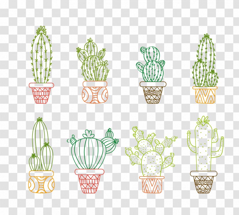 Drawing Cactaceae Succulent Plant Illustration - Vector Cactus Transparent PNG
