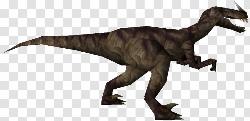 Turok: Dinosaur Hunter Tyrannosaurus Velociraptor - Terrestrial Animal - Dinosaurs Transparent PNG