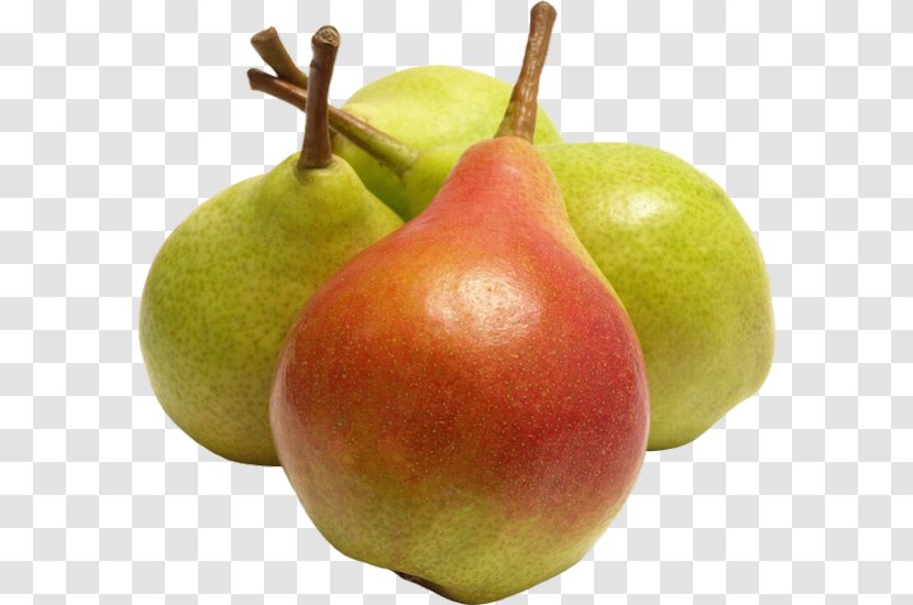 Fruit Jam Vegetable Berry Pear - Tree - Peas Transparent PNG
