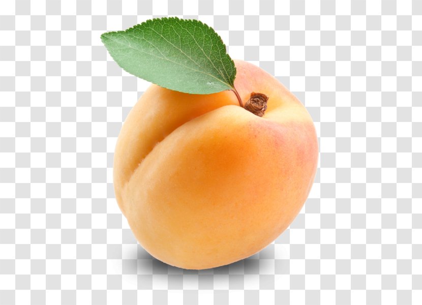 Apricot Kernel Fruit Amygdalin - Drupe Transparent PNG