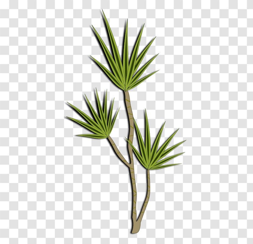 Plant Shrub Clip Art - Stem - Folha Transparent PNG