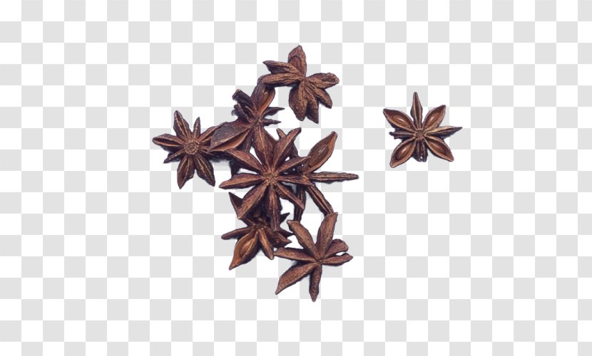 Spice Star Anise Flavor Stewing Transparent PNG