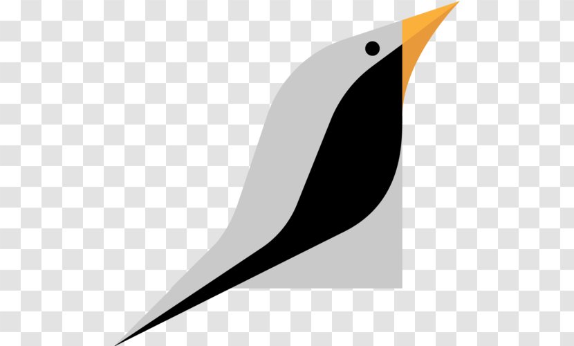 Bird Beak - Animal - Tech Postcard Transparent PNG