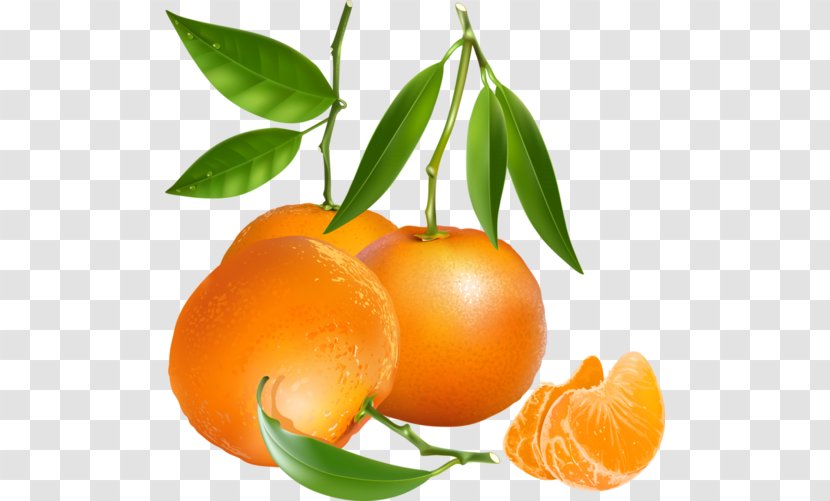 Tangerine Mandarin Orange Vector Graphics Clip Art - Vegetarian Food Transparent PNG