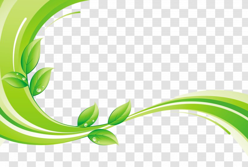 Green Euclidean Vector Royalty-free - Plant - Leaf With Decorative Lines Transparent PNG