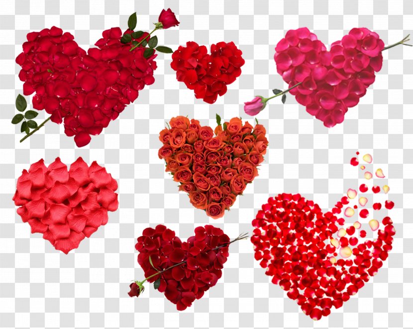 Garden Roses Beach Rose Heart Rosa Gallica - Family Transparent PNG