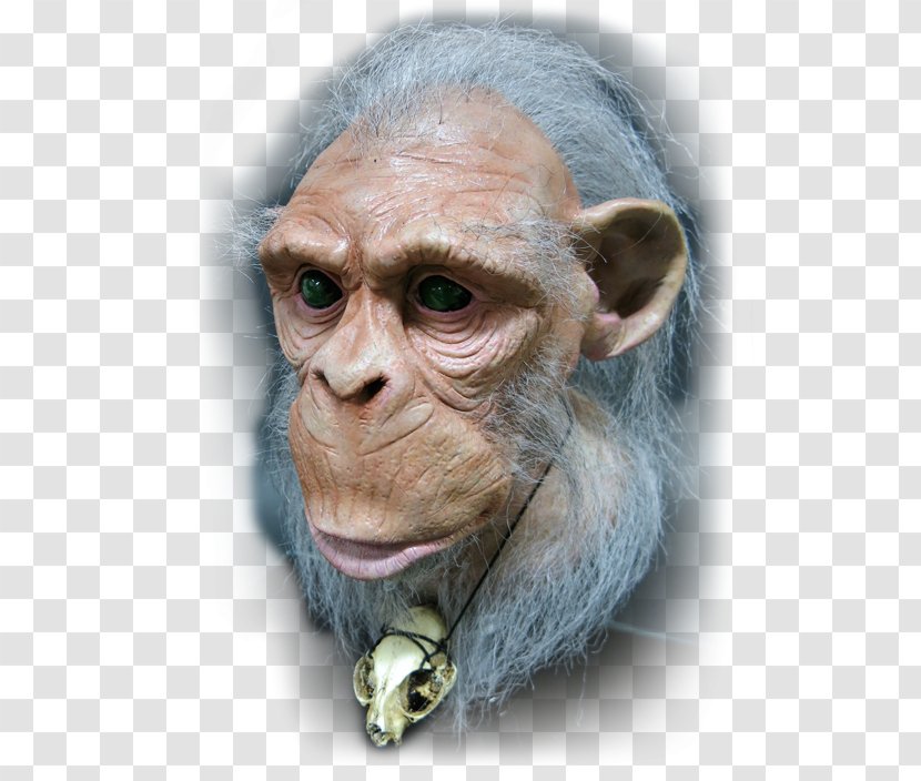 Common Chimpanzee Homo Sapiens Puppet Monkey Animatronics - Hand - Koko Transparent PNG