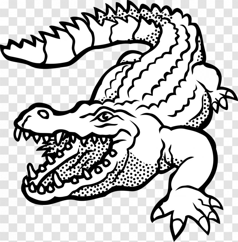Crocodile Alligators Clip Art Vector Graphics Image - Drawing Transparent PNG