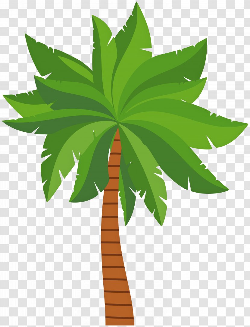 Palm Trees Clip Art Image Hyophorbe Lagenicaulis - Flower - Tree Transparent PNG