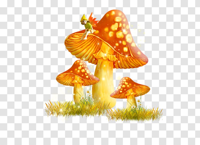 Fungus Mushroom Digital Image Clip Art - Decoupage Transparent PNG