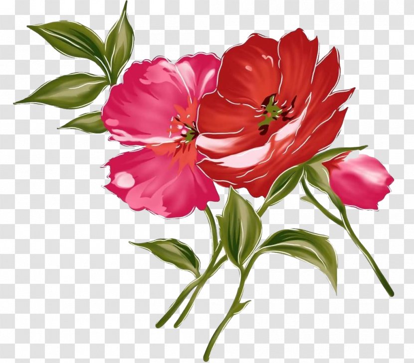 Flower Watercolor Painting - Rose Order Transparent PNG