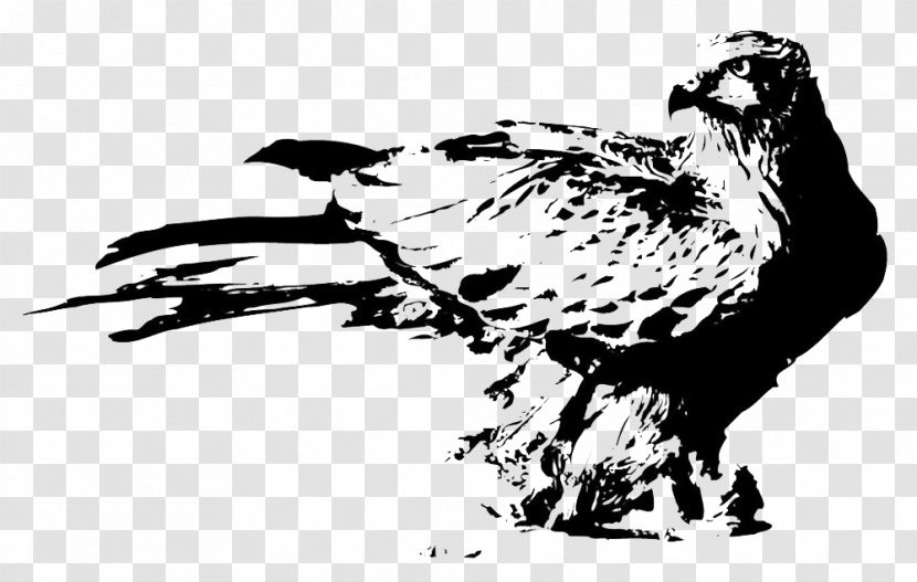 U6c34u58a8u753bu9e70 Bird Ink Wash Painting - Creative Work - Traditional Jet Eagle Digging Material Transparent PNG