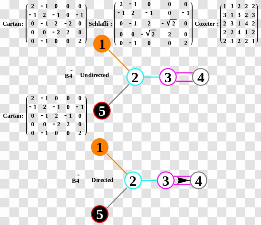 Periodic Table Atomic Orbital Quantum Number Diagram Spherical Harmonics - Binary Pattern Transparent PNG