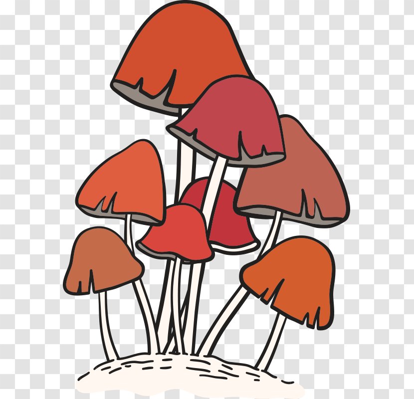 Edible Mushroom Fungus Euclidean Vector Food - Flower - Mushroom,fungus Transparent PNG