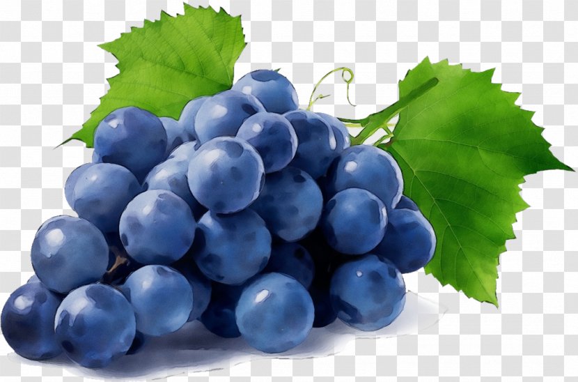 Grape Leaves Seedless Fruit Grapevine Family - Food Bilberry Transparent PNG
