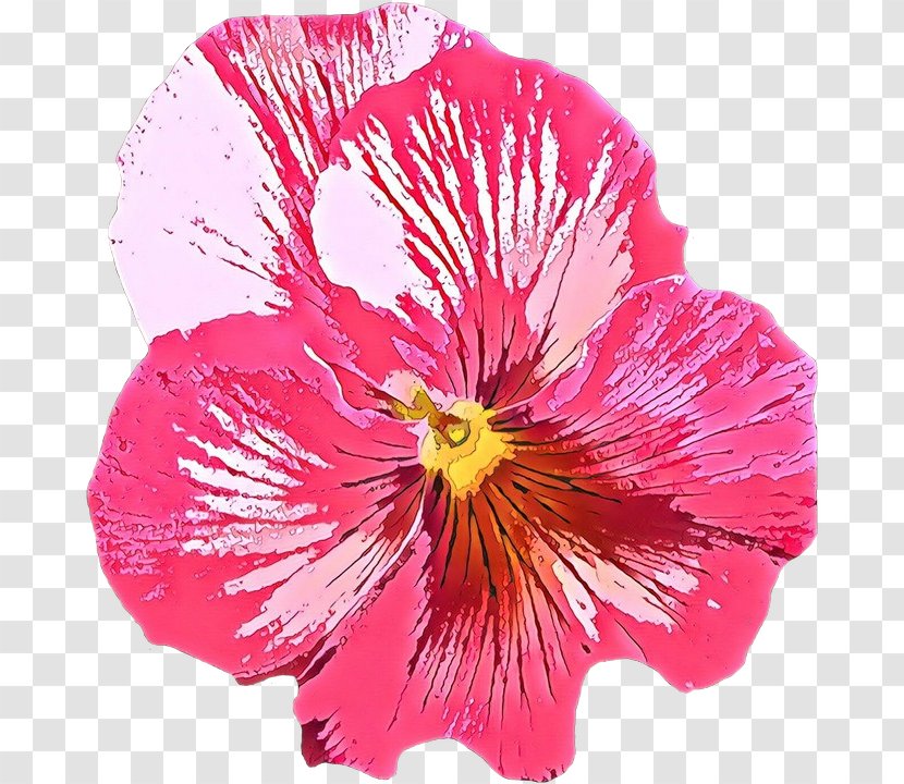 Pink Flower Cartoon - Petal - Perennial Plant Geranium Transparent PNG