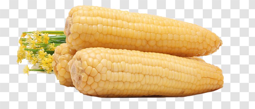 Corn On The Cob Waxy Sweet Transparent PNG