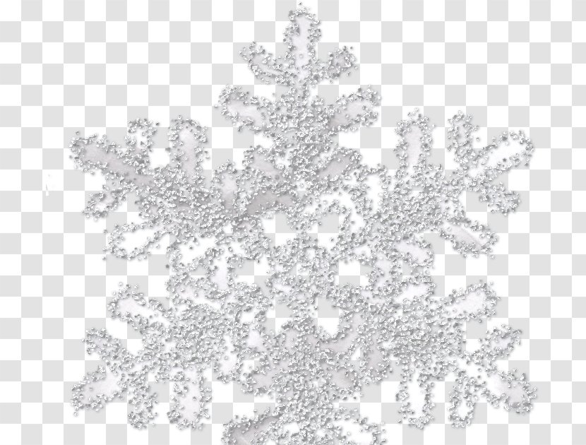 Snowflake Photography Desktop Wallpaper Clip Art - Frost Transparent PNG