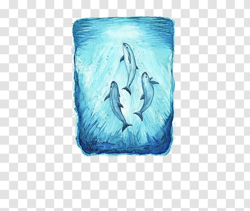 Dolphin Cetacea Bottlenose Blue Whale Beluga Transparent PNG