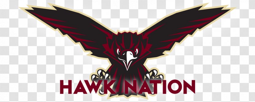 Skyhawk Logo Southridge High School Font - Fictional Character - Hawk Wings Transparent PNG