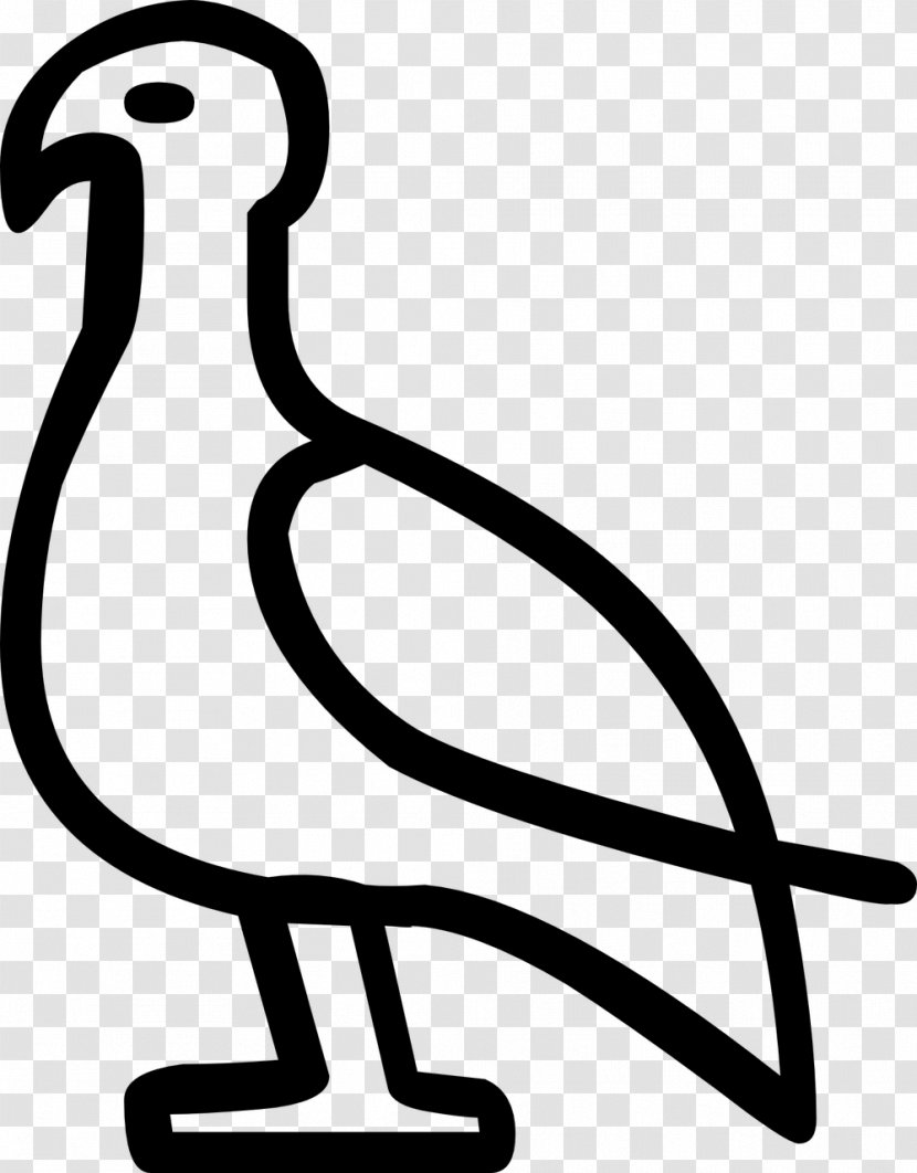 Clip Art - Bird - Pigeon Clipart Transparent PNG